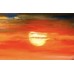 Sunset in India Painting by Marina Stognieva